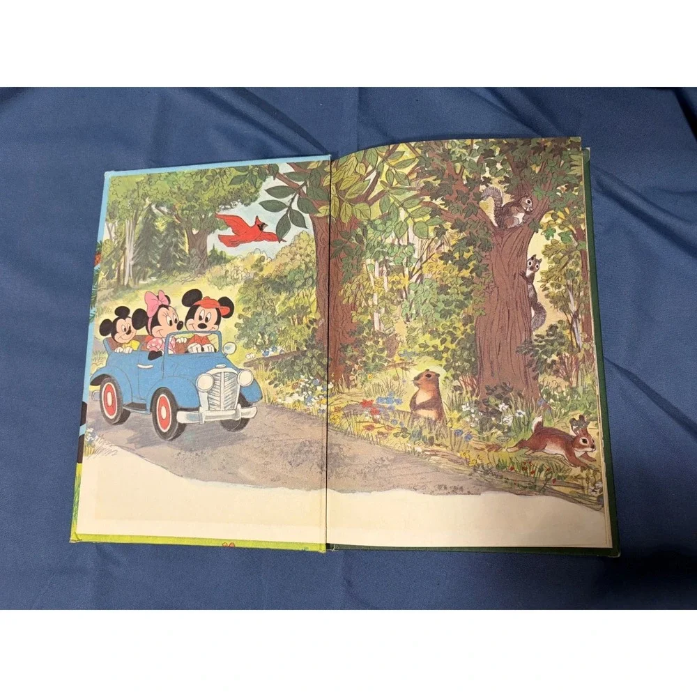 A Picnic In The Woods Walt Disney's Wonderful World of Reading Vintage (1983)